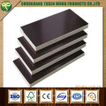 Hot Sale 18mm Film Faced Plywood